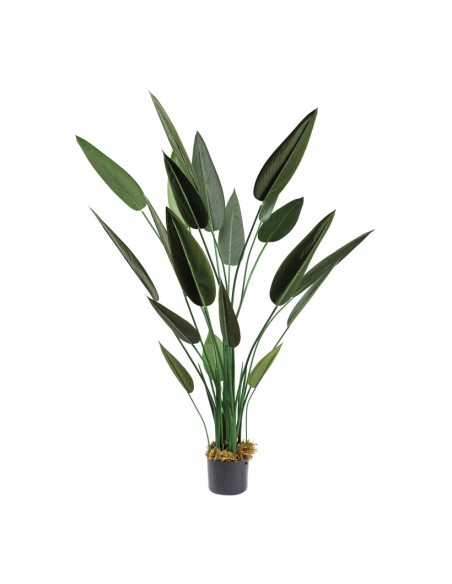 Planta Ave del paraíso con macetero para decorar con plantas y árboles artificiales en escaparates