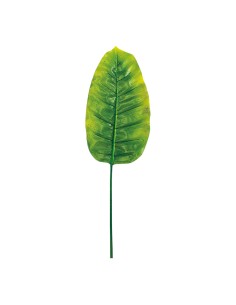 Hoja de banana para decorar con ramas y hojas en escaparates