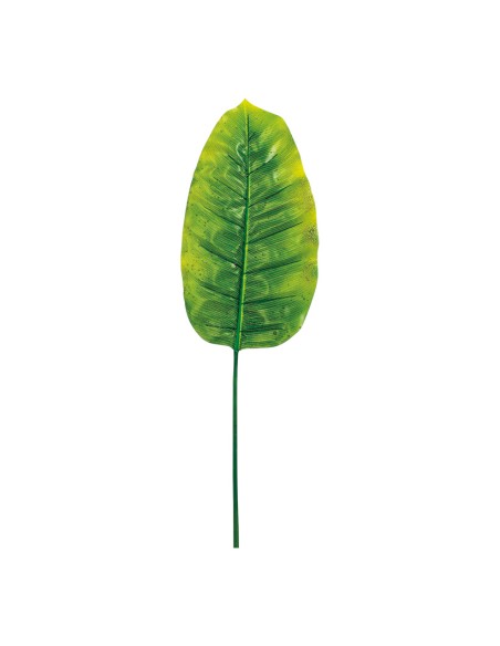 Hoja de banana para decorar con ramas y hojas en escaparates