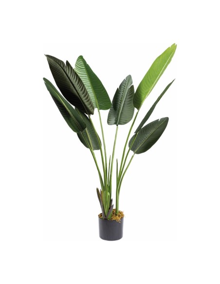 Planta de banano en macetero para decorar con plantas y árboles artificiales en escaparates
