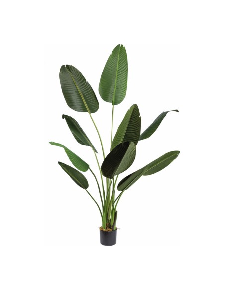 Planta de banano en macetero para decorar con plantas y árboles artificiales en escaparates