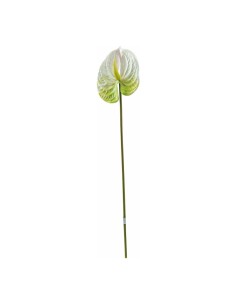 Tallo de flor de flamenco o anturio para escaparates veraniegos con helados en tiendas