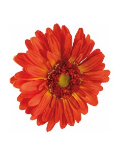 Cabeza de flor gerbera para escaparates veraniegos con helados en tiendas