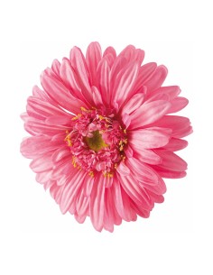 Cabeza de flor gerbera para escaparates veraniegos con helados en tiendas