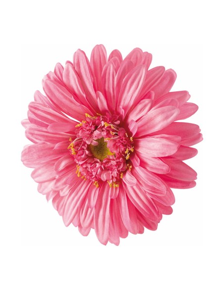 Cabeza de flor gerbera para escaparates veraniegos con helados en tiendas