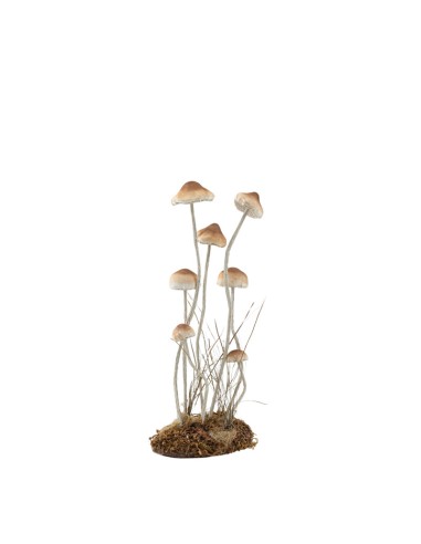 Champiñón para escaparates de otoño en tiendas y centros comerciales
