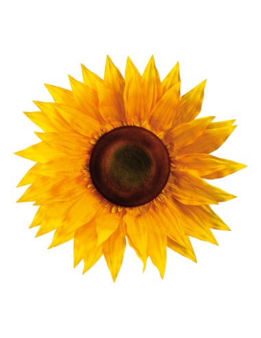 Flor girasol para escaparates veraniegos con helados en tiendas