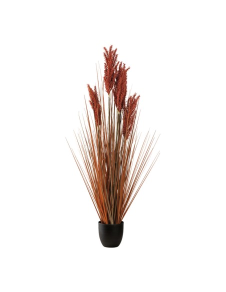 Planta en maceta para la decoración otoñal de escaparates y espacios