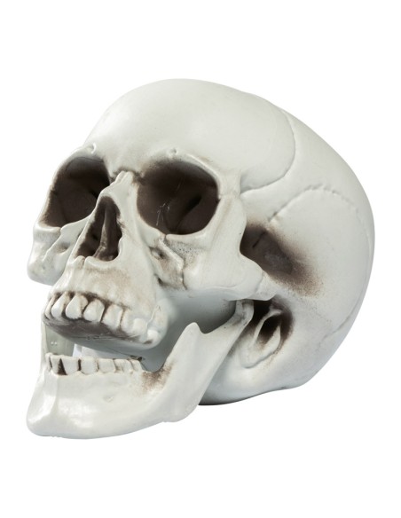 Cabeza de calavera para la fiesta de Halloween