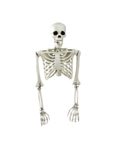 Esqueleto torso para la fiesta de Halloween