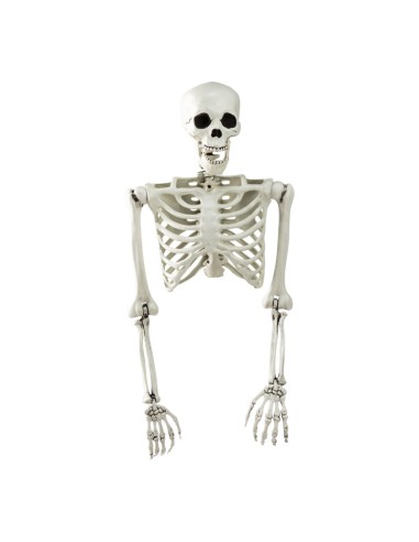 Esqueleto torso para la fiesta de Halloween