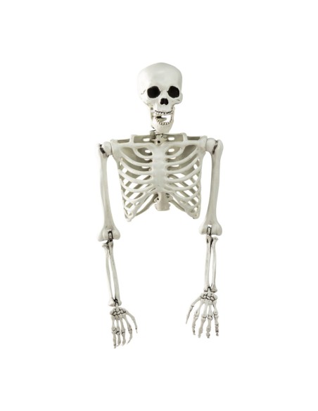 Esqueleto torso para la fiesta de Halloween