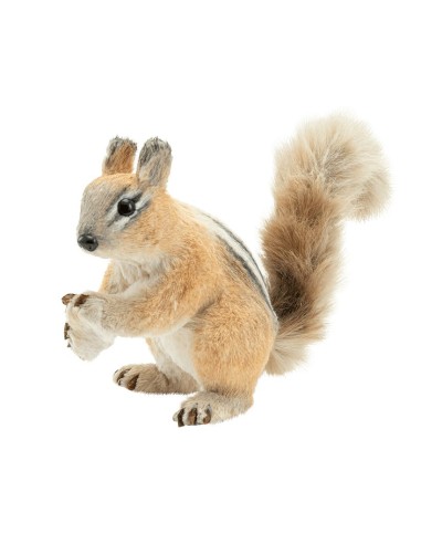 Ardilla para la decorar en otoño los escaparates o espacios