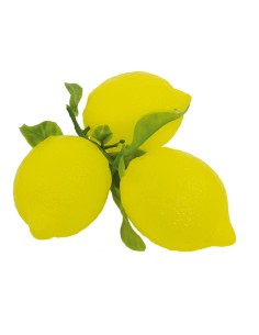 Imitación de limón con rama para fruterías y la decoración de escaparates de tiendas o comercios 2