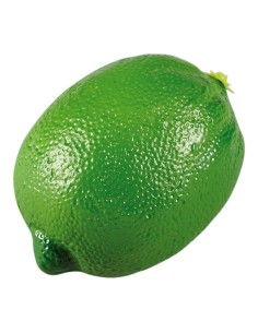 Imitación de lima para fruterías y la decoración de escaparates de tiendas o comercios 2