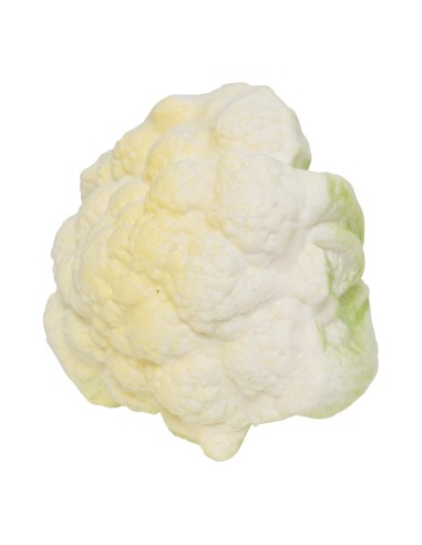 Imitación de coliflor para fruterías y la decoración de escaparates de tiendas o comercios