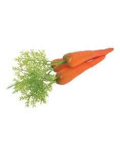 Imitación de zanahorias con hojas para fruterías y la decoración de escaparates de tiendas o comercios 2