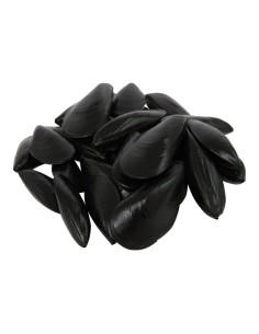 Imitación de mejillones para pescaderías y la decoración de escaparates de tiendas o comercios 2