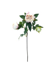 Flor peonía para escaparates de primavera en tiendas y centros comerciales 2