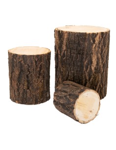 Troncos de madera para la decoración otoñal de escaparates y espacios 2