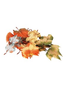 Hojas de otoño para escaparates de otoño en tiendas y centros comerciales 2