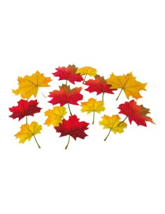Hojas de arce para escaparates de otoño en tiendas y centros comerciales 2