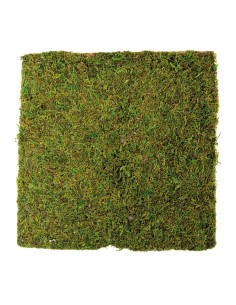 Panel de musgo para la decoración otoñal de escaparates y espacios 2
