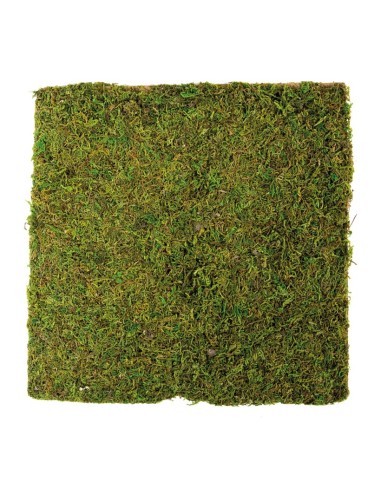 Panel de musgo para la decoración otoñal de escaparates y espacios