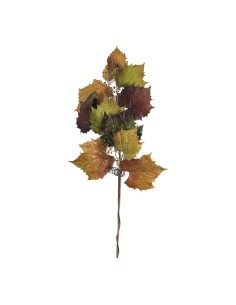 Rama de hojas de vid para la decoración de la vendimia en licorerías catas bodegas de vino 2