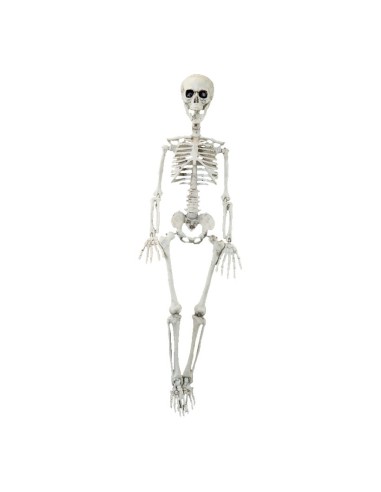 Esqueleto decorativo para la fiesta de Halloween