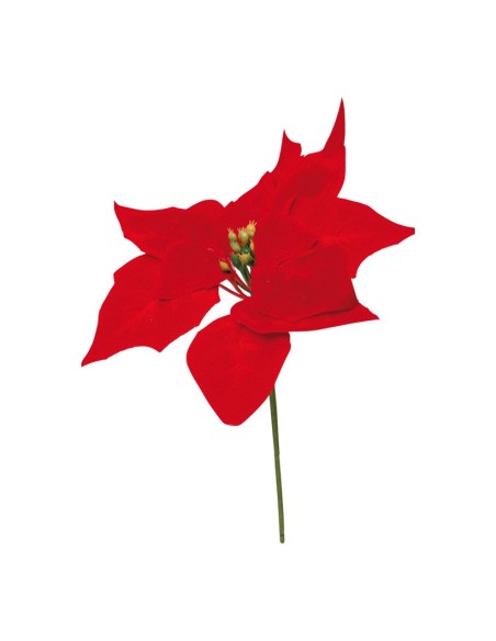 Flor de pascua para la decoración de centros comerciales calles y tiendas