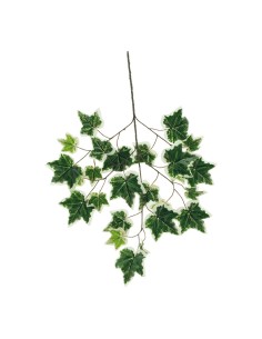 Ramita de hiedra para la decoración de verano en escaparates de tiendas o comercios 2