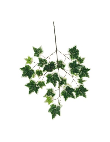 Ramita de hiedra para la decoración de verano en escaparates de tiendas o comercios