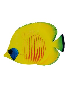Pez tropical para la decoración de verano en escaparates de tiendas o comercios 2