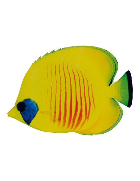 Pez tropical para la decoración de verano en escaparates de tiendas o comercios