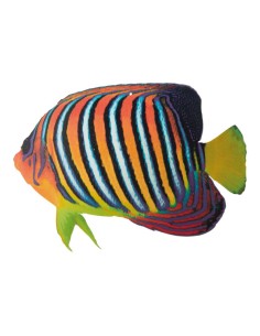 Pez tropical para la decoración de verano en escaparates de tiendas o comercios 2