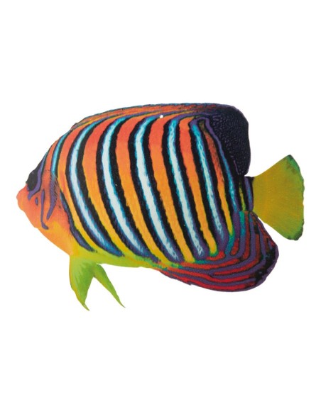 Pez tropical para la decoración de verano en escaparates de tiendas o comercios