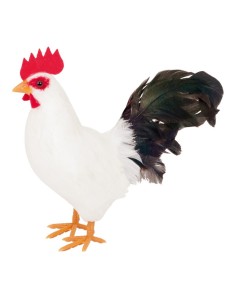 Gallo de pie para la decoración de verano en escaparates de tiendas o comercios 2