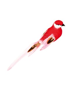 Pájaro con pinza para la decoración de verano en escaparates de tiendas o comercios 2