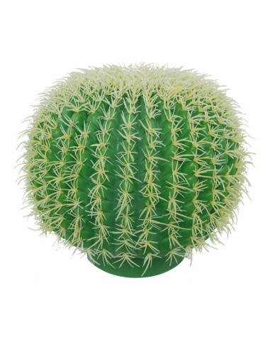 Cactus barril para la decoración de verano en escaparates de tiendas o comercios