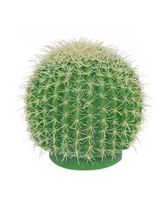 Cactus barril para la decoración de verano en escaparates de tiendas o comercios 2