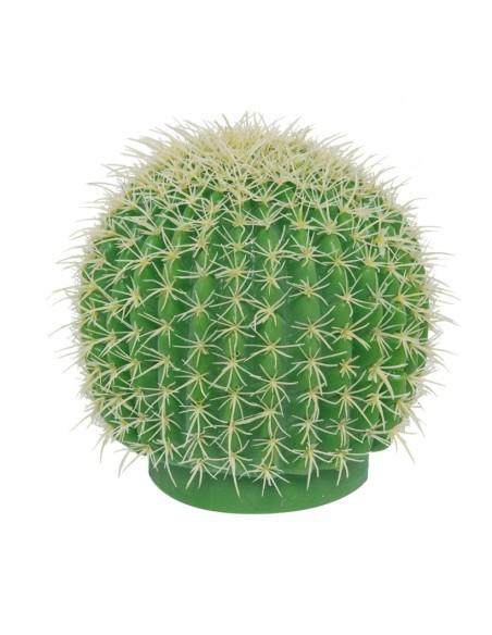 Cactus barril para la decoración de verano en escaparates de tiendas o comercios