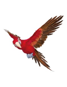 Loro volando para la decoración de verano en escaparates de tiendas o comercios 2