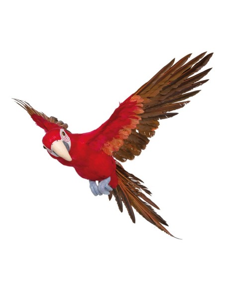 Loro volando para la decoración de verano en escaparates de tiendas o comercios
