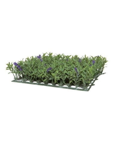 Panel de flor de lavanda para la decoración de verano en escaparates de tiendas o comercios