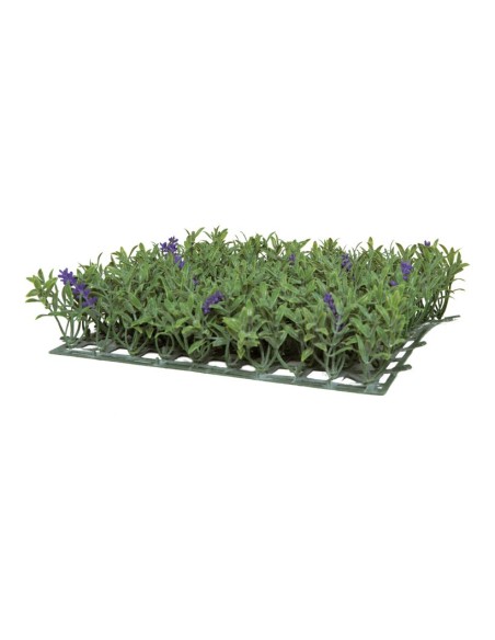 Panel de flor de lavanda para la decoración de verano en escaparates de tiendas o comercios