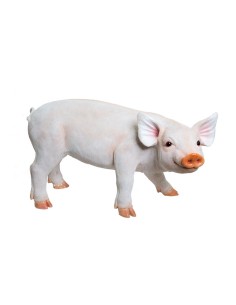 Cerdo de pie para la decoración de verano en escaparates de tiendas o comercios 2