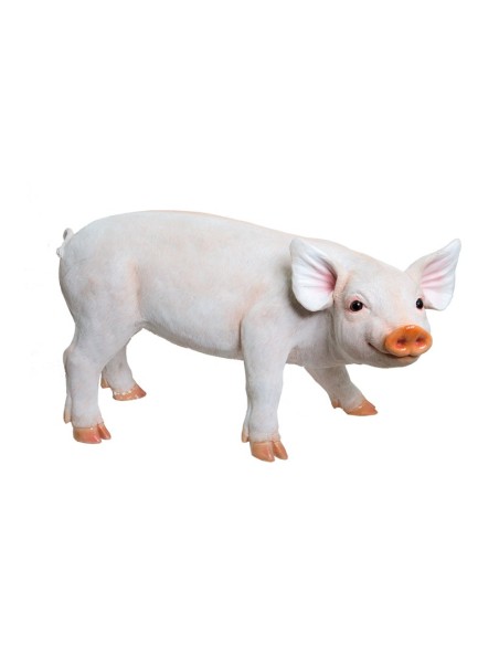 Cerdo de pie para la decoración de verano en escaparates de tiendas o comercios