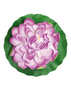 Lirio de agua floreciendo para la decoración de verano en escaparates de tiendas o comercios 2