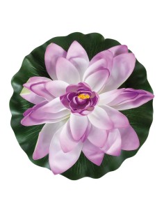 Lirio de agua floreciendo para la decoración de verano en escaparates de tiendas o comercios 2